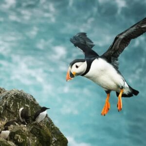 Autorondreis Schotse Highlands